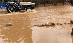 Şanlıurfa’da sağanak sonrası sel: Evleri su bastı