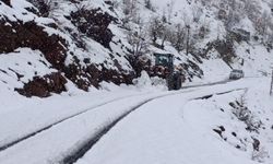 Şırnak'ta karla kapanan köy yolları temizleniyor 