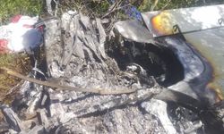 Zimbabve'de uçak düştü: Bir ölü bir yaralı