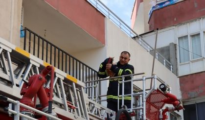 Midyat'ta boş evde mahsur kalan kedi kurtarıldı