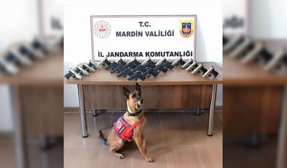 25 tabanca ele geçirildi