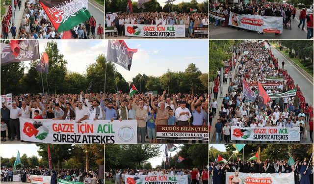 Diyarbakır İslami STK'lardan "Gazze İçin Yürüyoruz" etkinliği 