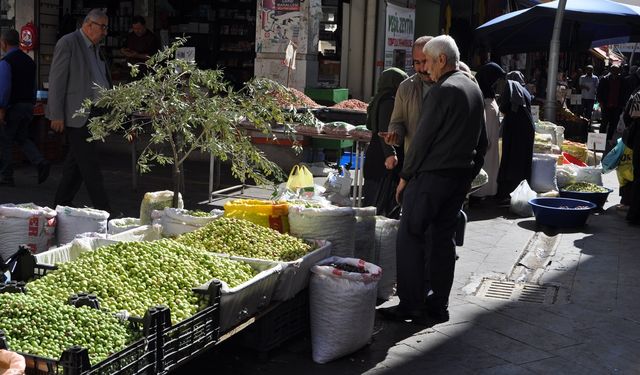 Kırma yeşil zeytin tezgâhlardaki yerini aldı