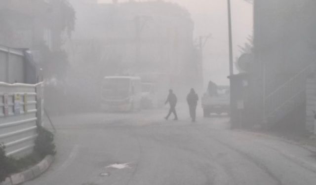 Bursa'da yoğun sis hayatı olumsuz etkiledi