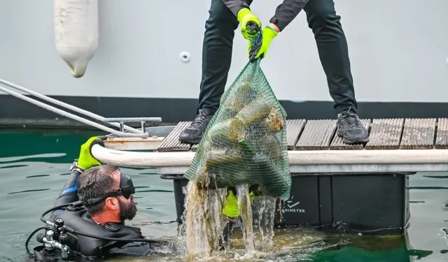 5 ton çöp toplandı, güneş enerjisi kullanımı arttı