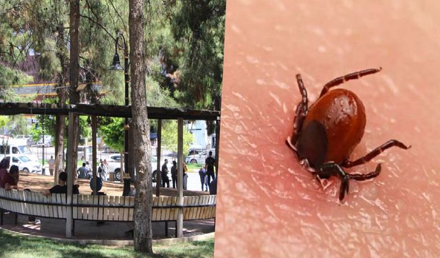 Kırım Kongo Kanamalı Ateşi’ne karşı dikkat edilmesi gerekenler?