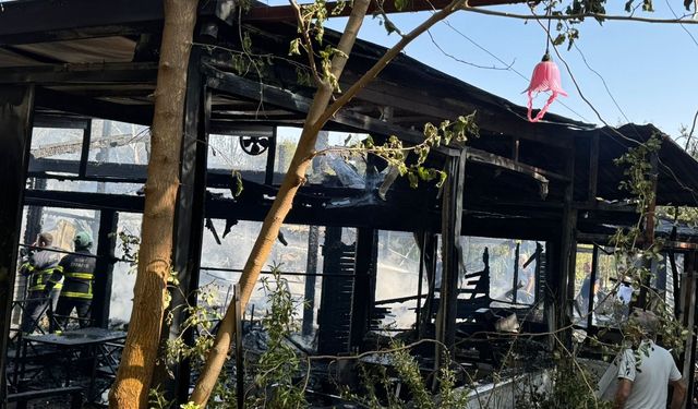 Siirt’in Kurtalan ilçesinde çıkan yangında kafe kullanılamaz hale geldi