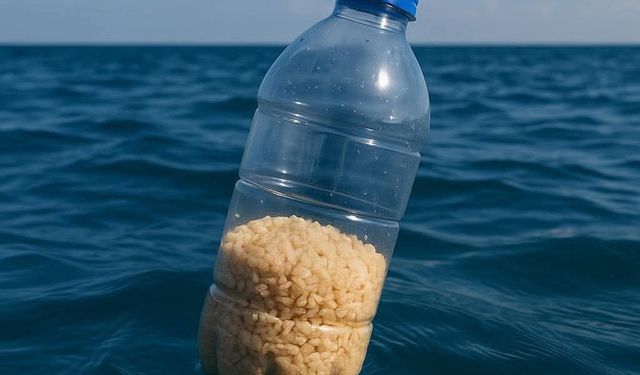 Açlığa terk edilen Gazze'yle sessiz dayanışma: Sizi unutmadık, özür dileriz, yanınızdayız