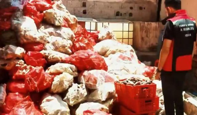 Adana'da ruhsatsız işletmede tonlarca hayvansal gıda ele geçirildi