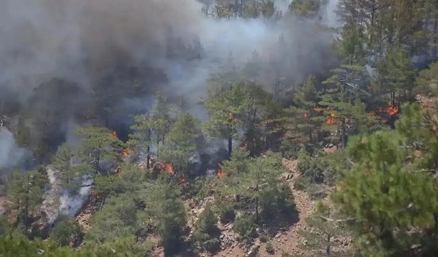 Amasya'da Orman Yangını: Soğutma çalışmaları sürüyor