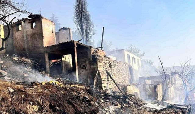 Ankara'da ağaçlık alanda çıkan yangın gecekondulara sıçradı