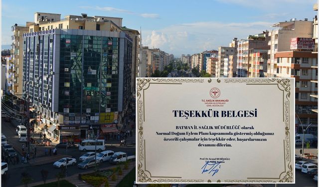 Batman, normal doğumda örnek il seçildi