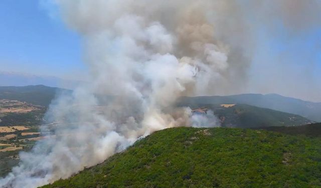 Bursa Harmancık’taki orman yangını yeniden alevlendi