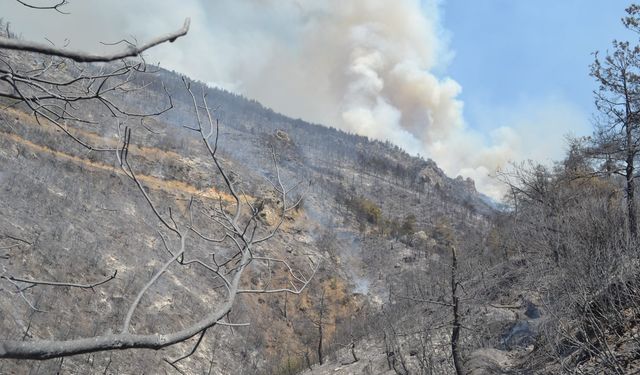 Duman ve kül tabakası sağlık sorunlarına neden olabilir