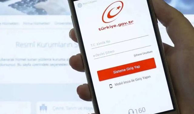e-Devlet’te yeni uygulama: Vatandaşlar Türkiye'nin dijital haritasına ulaşabilecek