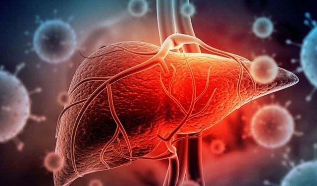Hepatite kalkan: Aşı, temizlik, doğru bilgi