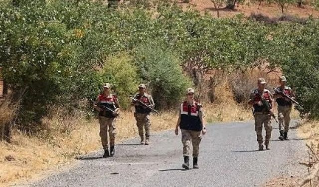Siirt'te fıstık hırsızlıklarına karşı jandarma alarmda: Gece gündüz devriye ve sıkı denetim