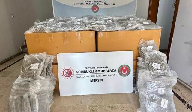 Limanda 587 kilo esrar ele geçirildi