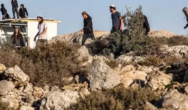 Yahudi çeteler Halhul’da saldırdı: Biri kadın, biri çocuk üç kişi yaralandı