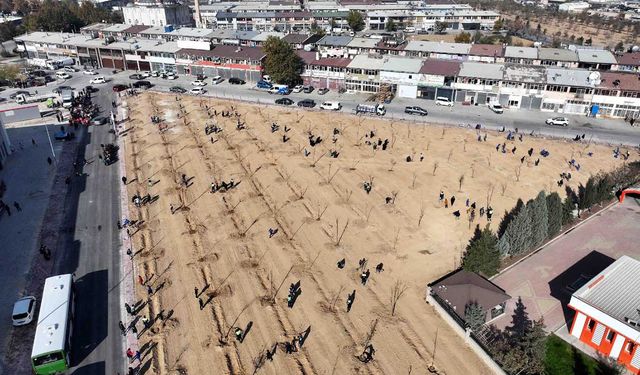 Konya'da 10 Bin 400 metrekarelik alana fidan dikildi