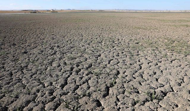 Ortadoğu, son yılların en kurak dönemlerinden birini yaşıyor