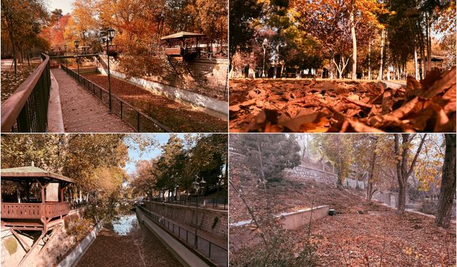 Sonbaharın gelişiyle Konya’da doğal güzellikler ortaya çıktı