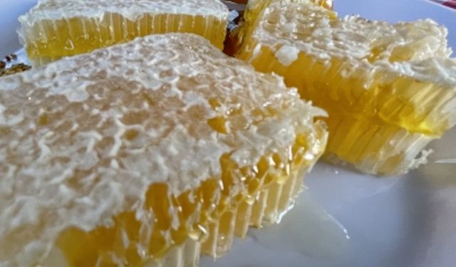 Yenice ıhlamur balı AB'den coğrafi işaret tescili aldı