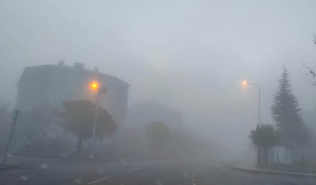 Bingöl’de yoğun sis görüş mesafesini 20 metreye düşürdü