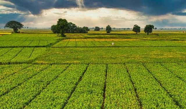 Bir milyar 46 milyon liralık tarımsal destek ödemeleri çiftçinin hesabına yatırılacak