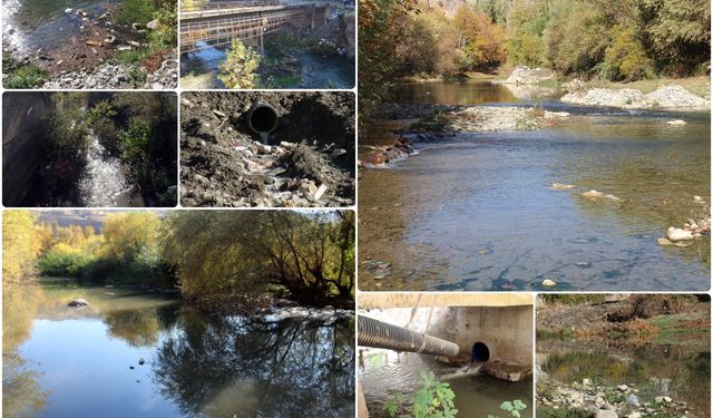 Çermikliler: Yıllarca ilçenin su kaynağı olan sinek çayı şimdi çevreye hastalık yayıyor