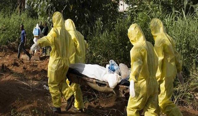 Nijerya’da Lassa ateşi hastalığında can kayıpları artıyor