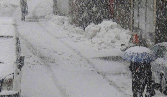 Siirt'te beklenen kar yağışı başladı