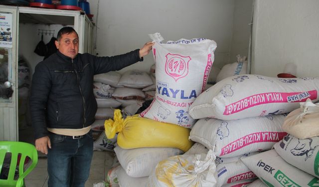Artan yem ve girdi maliyetleri hububat ticaretini durgunluğa sürükledi