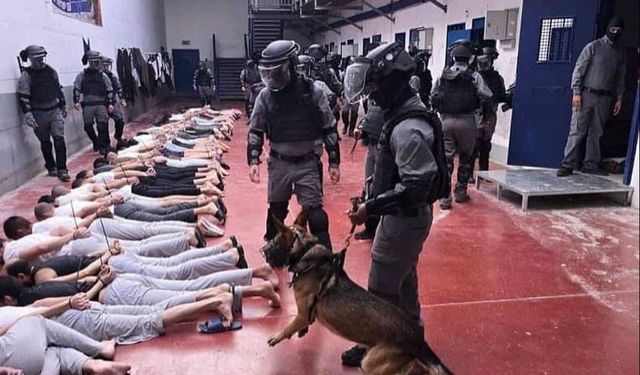 B'Tselem raporu: Filistinli esirler cinsel saldırıya uğruyor, sistematik şekilde aç bırakılıyor