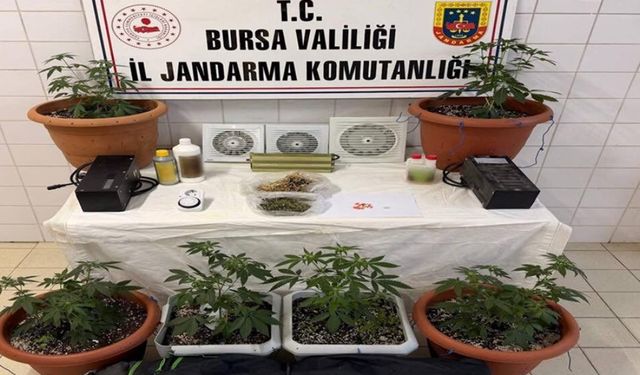 Bursa'da uyuşturucu operasyonu: Bir şüpheli tutuklandı