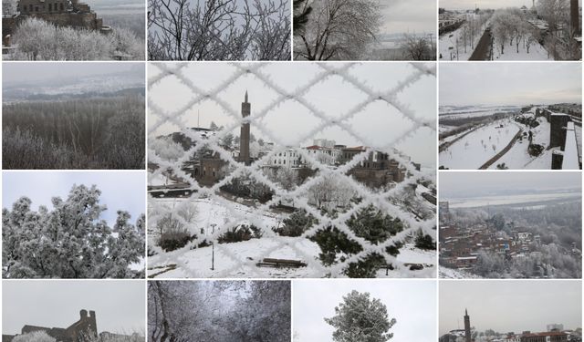 Diyarbakır’da soğuk havanın oluşturduğu kırağı geriye kartpostallık kareler bıraktı
