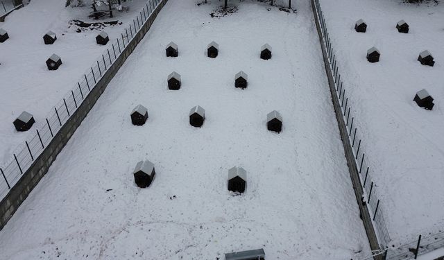 Malatya'nın ikinci hayvan barınağı hizmete başladı