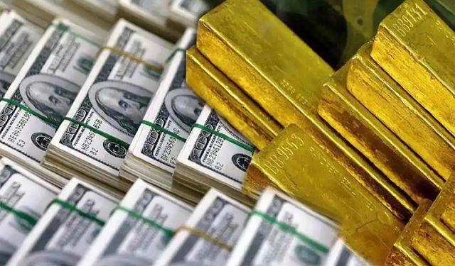 Merkez Bankası rezervlerinde yeni rekor: 215,6 milyar dolar