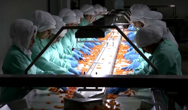 MTB Başkanı Özcan: 2025 yılında 47 bin 699 ton kuru kayısı ihracatı gerçekleştirdik