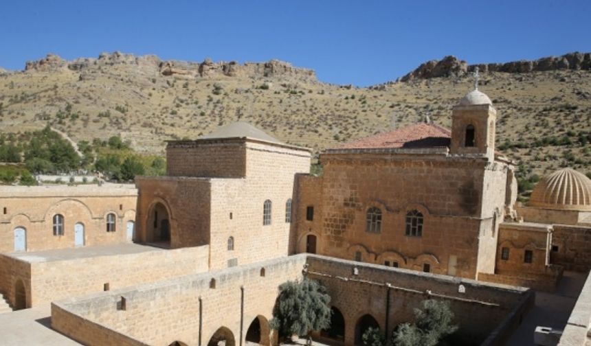 Mardin'de asırlık zeytinlerin geni, tarihi manastırın bahçesinde korunuyor
