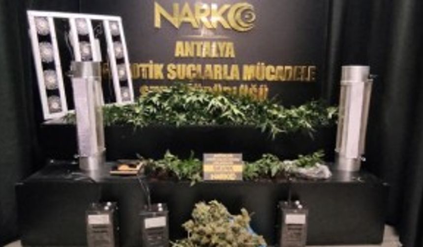 ANTALYA - Uyuşturucu operasyonunda 20 kişi yakalandı