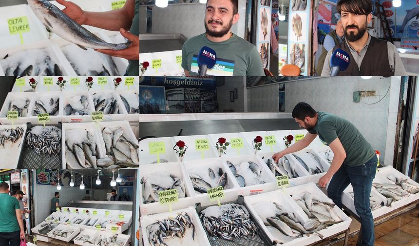Balık tezgahları boşaldı, fiyatlar arttı!