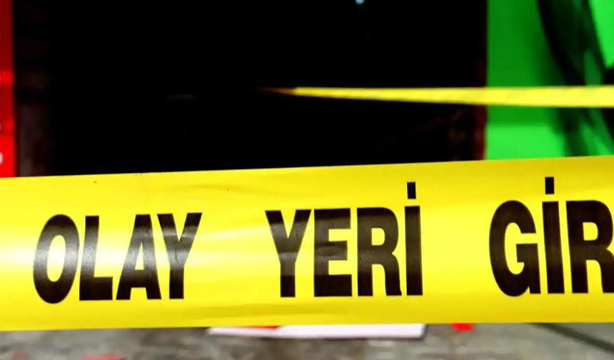 Otomobil sulama kanalına düştü: 1 yaralı