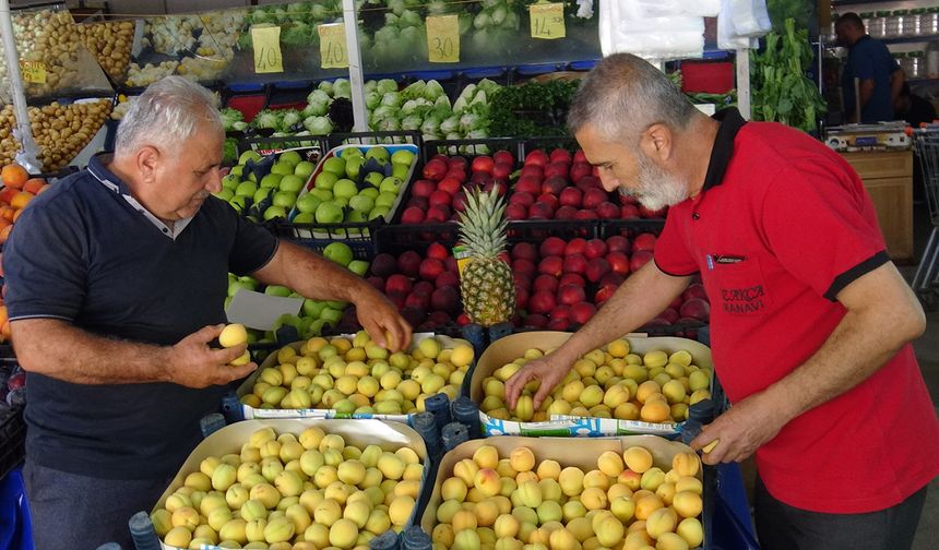Don vurdu, fiyatlar uçtu: Malatya'nın kayısısı kırmızı etle yarışıyor