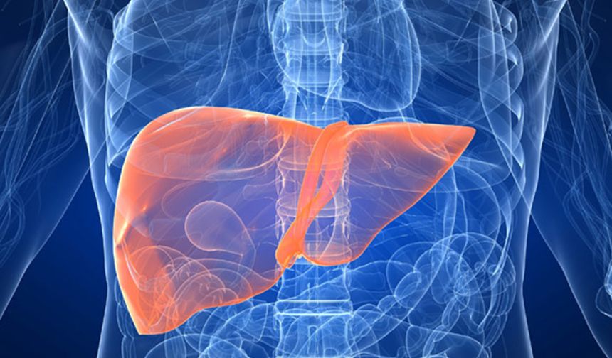 Doç. Dr. Atay: Hepatit B, karaciğer kanserine neden olabilen bir virüs hastalığıdır