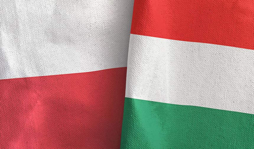 Polonya ile Macaristan arasında diplomatik kriz devam ediyor