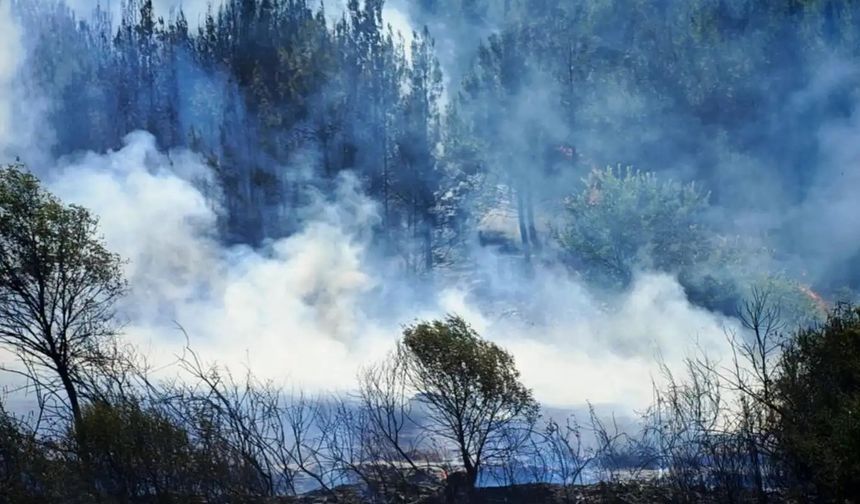 Adana Kozan’da orman yangını kontrol altına alındı