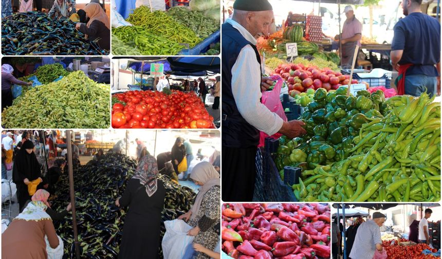 Aşırı sıcaklar kurutmalık sezonunu da etkiledi