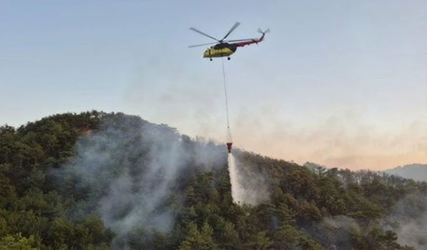 Bolu'da orman yangını