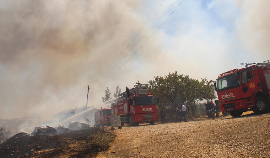 Diyarbakır kırsalında yangın devam ediyor: Ahırlar yandı, hayvanlar telef oldu
